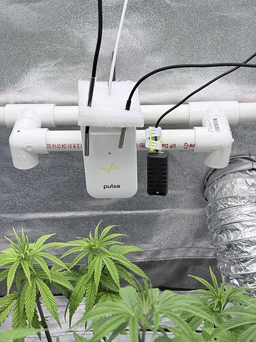 Dec 10 probe placement